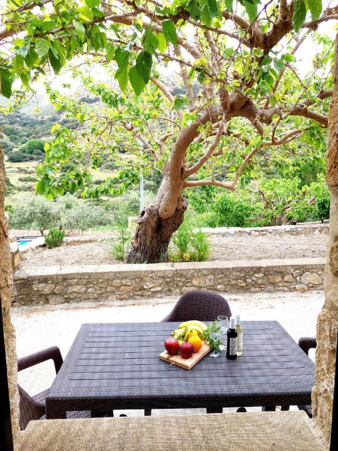 Petrakis Cretan Homes Κίσσαμος Εξωτερικό φωτογραφία