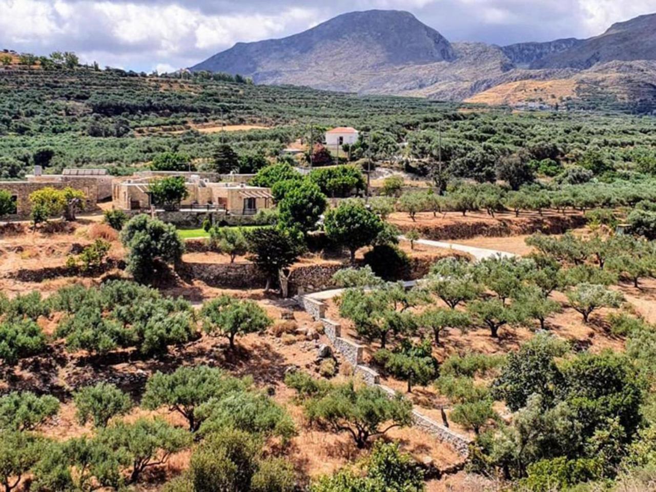 Petrakis Cretan Homes Κίσσαμος Εξωτερικό φωτογραφία
