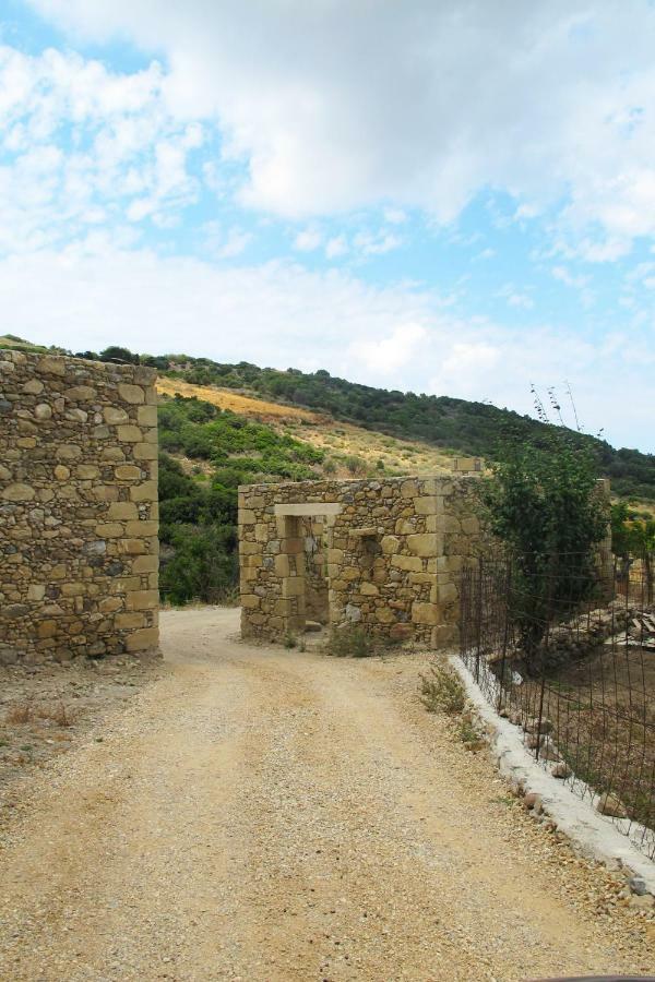 Petrakis Cretan Homes Κίσσαμος Εξωτερικό φωτογραφία