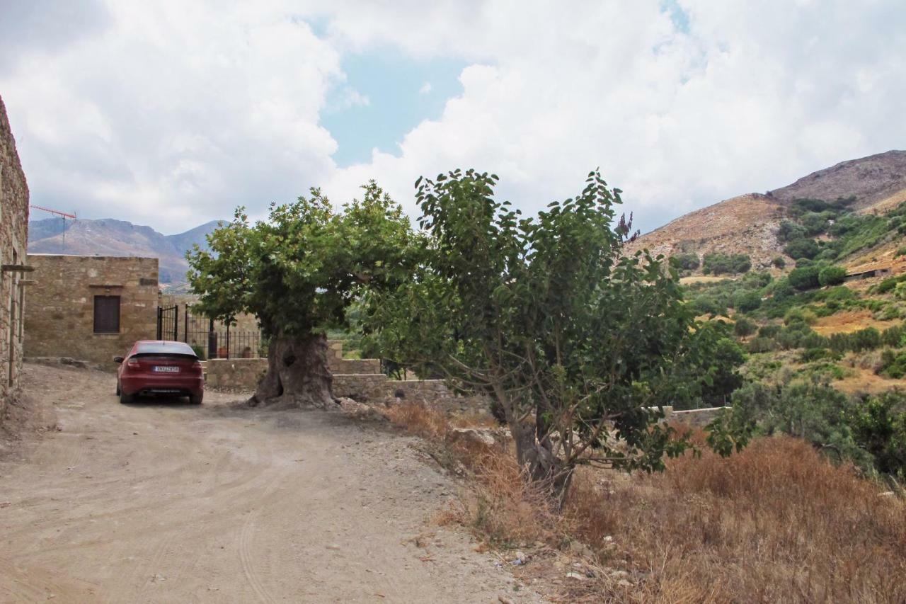 Petrakis Cretan Homes Κίσσαμος Εξωτερικό φωτογραφία