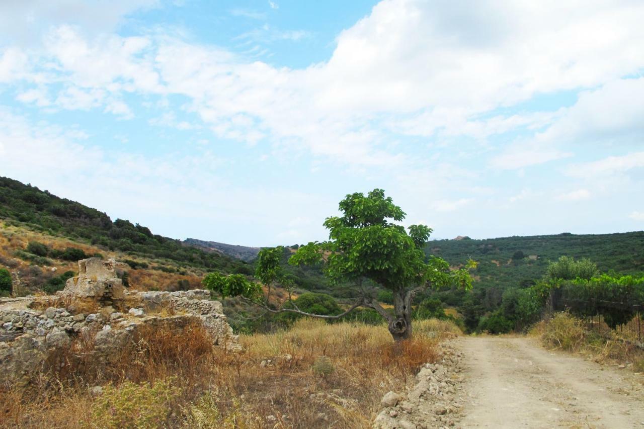 Petrakis Cretan Homes Κίσσαμος Εξωτερικό φωτογραφία