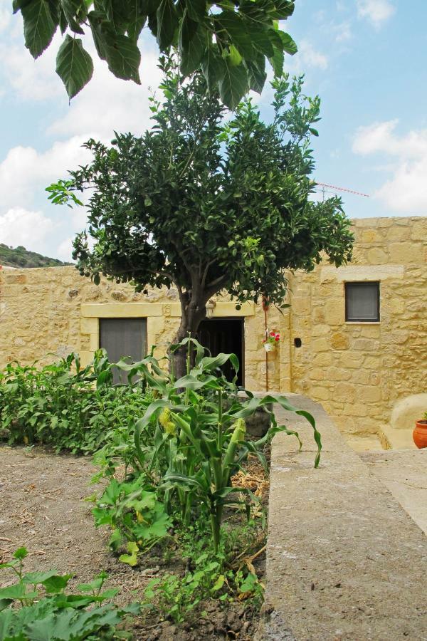 Petrakis Cretan Homes Κίσσαμος Εξωτερικό φωτογραφία