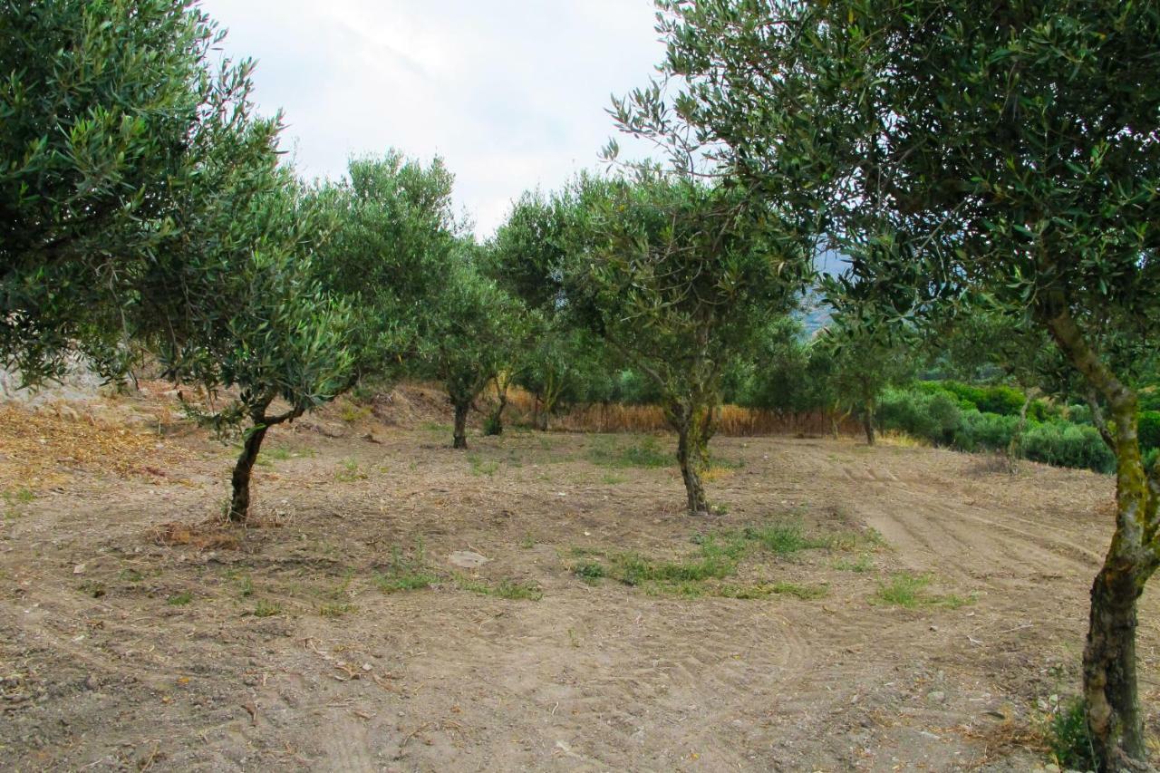 Petrakis Cretan Homes Κίσσαμος Εξωτερικό φωτογραφία